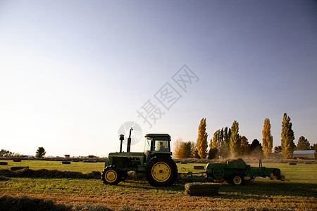 实地拖拉机吸管保释车辆工作工人场地农民土壤机械季节图片