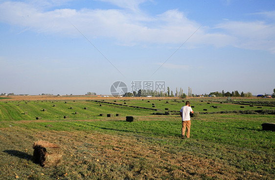 农民乡村场地概念牧场干草绿色男人收成稻草天空图片