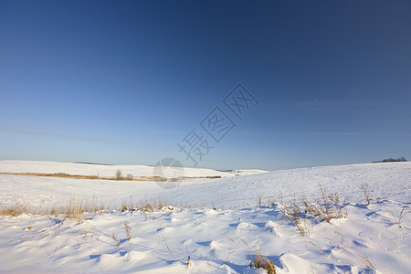 冬季字段阳光天气牧场地平线土地场景天空下雪暴风雪草地图片