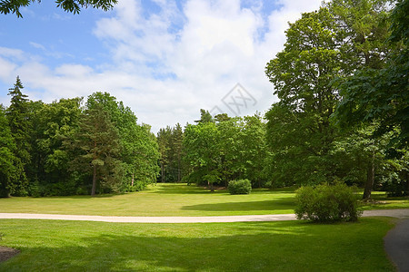夏季公园 树木土地蓝色森林天空美化木头草地绿地摄影场景图片
