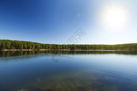 森林湖 春天图片