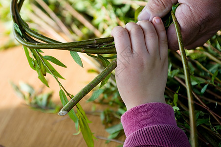 人教孩子做鸡篮子生产手工业织物宏观精神稻草学生圆圈编织工匠图片