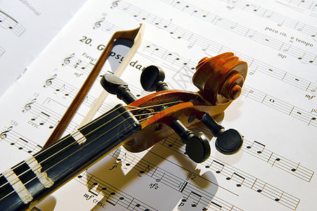 维林语Name细绳乐器音乐艺术音乐家木头笔记旋律交响乐中提琴图片