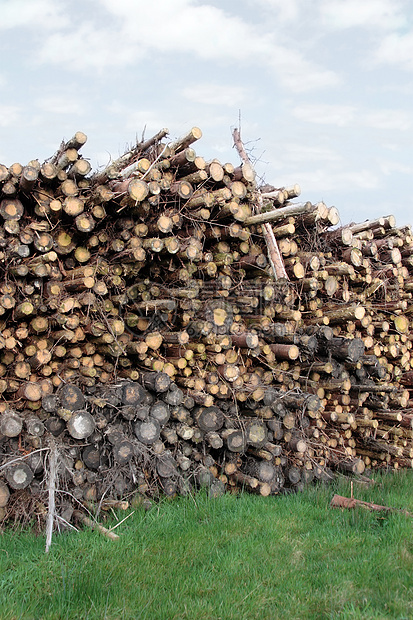 堆叠日志天空烧伤材料松树森林木头国家记录活力木材图片