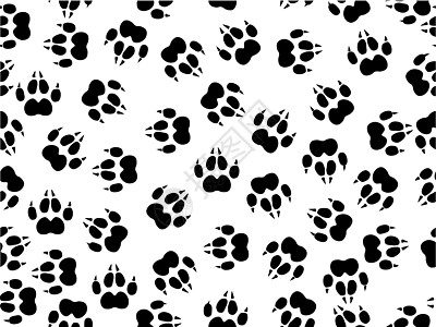 野猫叶子狞猫痕迹野生动物契约印刷打印山猫白色烙印猛兽图片