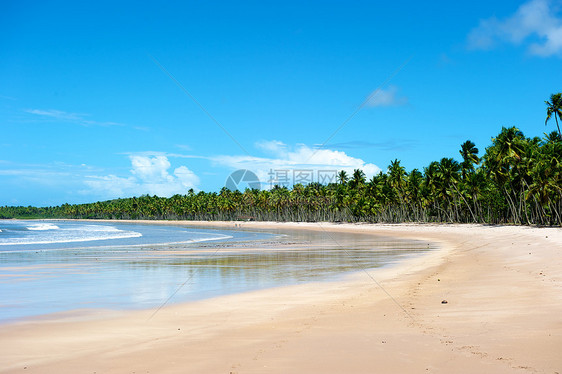 巴西天堂巴西海滩情调气候太阳海浪海景异国天空风景热带海岸线图片