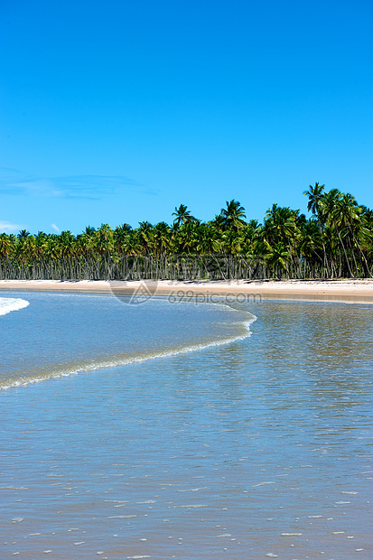 巴西天堂巴西海滩气候蓝色异国海景旅游热带情调太阳海浪风景图片