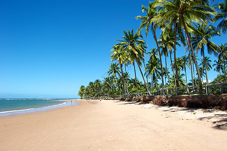 巴西天堂巴西海滩太阳旅游风景天空气候目的地蓝色情调热带海岸线图片
