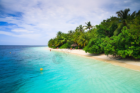 马尔代夫的热带天堂游泳太阳棕榈海洋旅游假期场景海岸线叶子风景图片