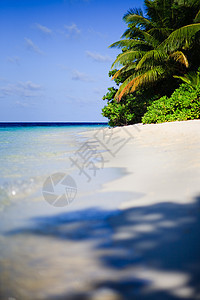 马尔代夫的热带天堂天空阳光蓝色气候场景假期植物海景海岸线游泳图片