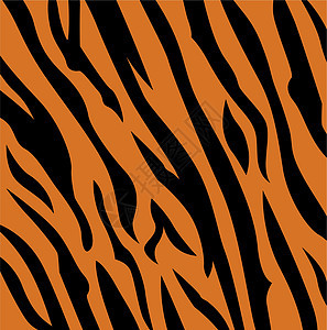 动物背景形态 - 老虎皮肤纹理图片