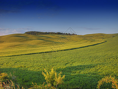 意大利 托斯卡纳天堂草原天空季节风景土地远景场景农场地平线图片