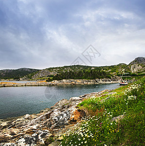 纽芬兰的大西洋海岸地平线野花涟漪旅行戏剧性风景支撑海洋绿色巨石图片