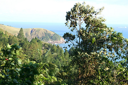 巴西海岸海滩小岛天气爬坡天空蓝色热带植物海洋丛林图片