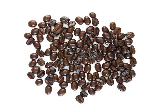咖啡豆豆棕色饮料咖啡店白色豆子图片