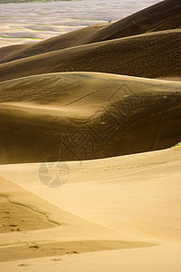 在沙丘中漫步图片