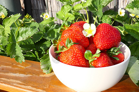 草莓白色食物叶子植物绿色红色浆果木头甜点水果图片