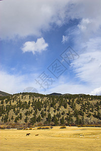 山区地貌岩石公园反射叶子假期晴天草地旅行小径松树图片