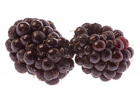 黑莓杂草浆果农业甜点水果植物群植物生产营养食品维生素图片