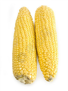 玉米角核心农业黄色营养蔬菜谷物耳朵玉米芯粮食棒子图片