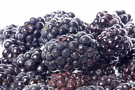 黑莓杂草营养宏观植物植物群水果季节红色农业维生素食品图片