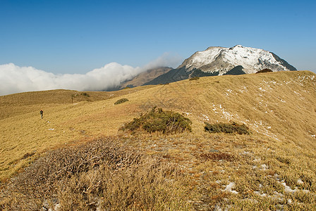 一片雪山峰和黄草原的风景季节蓝色顶峰阳光山腰草原高山晴天森林阴影图片