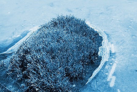 美丽的奇特冰池表面和草地天空风景冻结池塘冷藏水晶反射天气季节冷冻图片