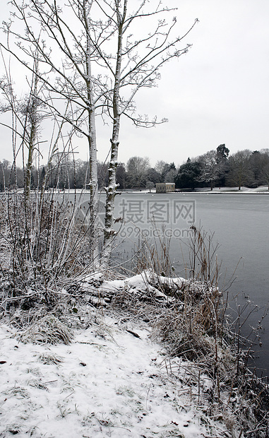 冬季湖冻结季节场景树木天空公园反思池塘场地降雪图片