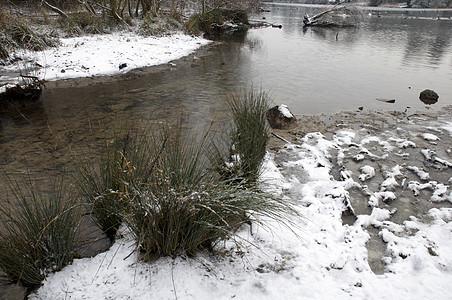冬季湖国家雪景天气风景冻结反思池塘天空树木季节图片
