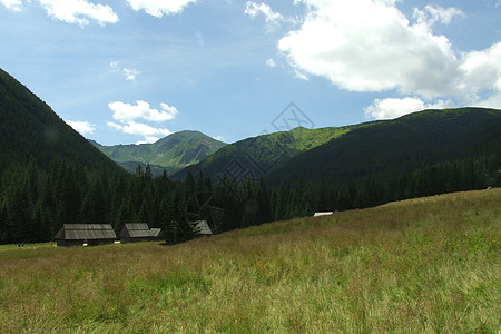 波兰塔特里的高山高点岩石天空木头丘陵山景强光绿色天堂石头图片