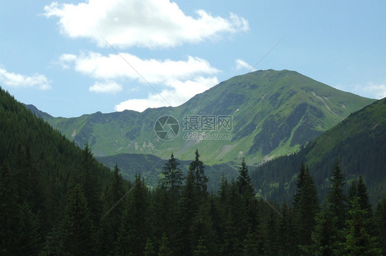 波兰塔特里的高山树木山景绿色强光丘陵地平线高点木头天堂天空图片