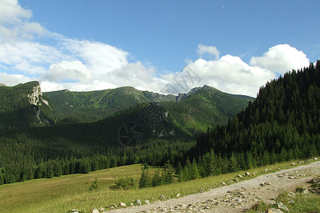 波兰塔特里的高山地平线山景石头丘陵树木天堂高点绿色木头天空图片