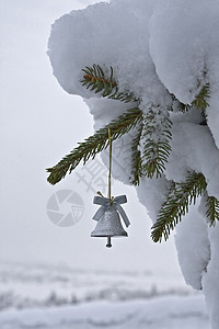 圣诞小树铃白色绿色装饰植物学图片