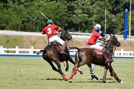 波罗波运动玩家团队竞争者竞赛小马骑师青少年男人活动图片