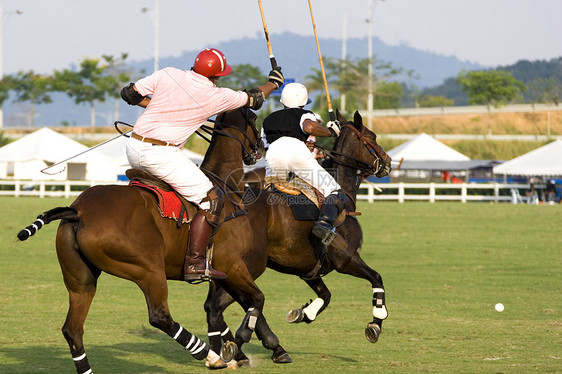 波罗波男性竞赛青少年游戏男人场地团队玩家马匹活动图片