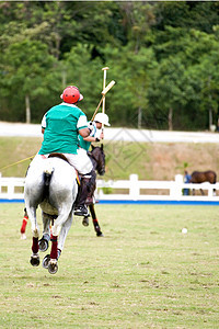 波罗波青少年游戏小马场地运动男性良种马匹竞争男人图片