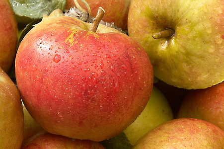 苹果食物水果红色背景图片