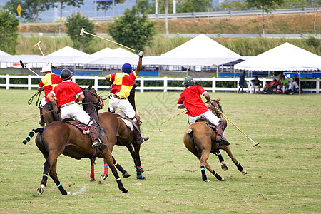 波罗波团队场地良种玩家竞赛速度男人骑师马匹竞争图片