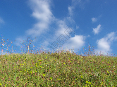 草地和天空背景场地蓝色白色多云绿色图片