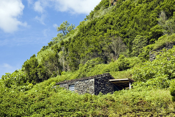 石屋季节荒野木头庇护所场景树干房子住宅植物环境图片