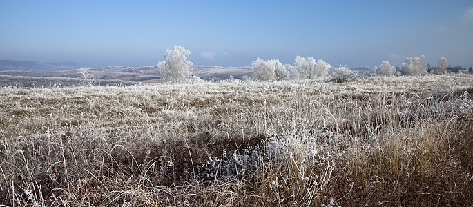 冬季风景荒野植物旅行场地天空环境植被山脉图片
