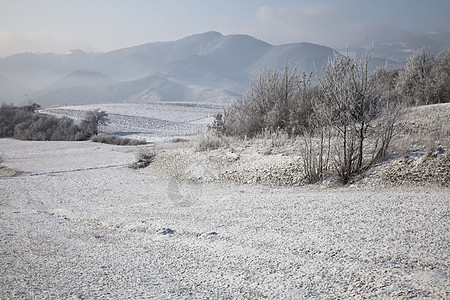 冬季风景环境场地树木植物荒野天空植被山脉灌木旅行图片