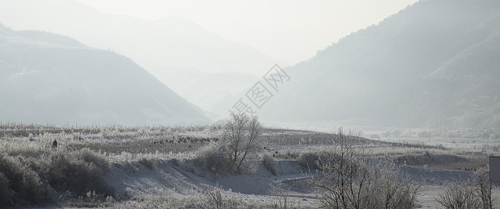 冬季风景环境植被荒野山脉灌木旅行场地树木植物天空图片