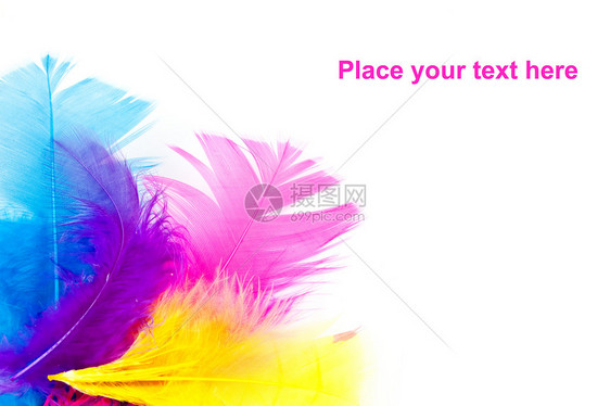 带复制空格的彩色羽毛艺术蓝色紫色白色粉色黄色图片