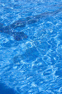 游泳池蓝色游泳假期运动游泳者图片