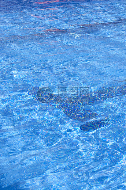 游泳池游泳者假期游泳蓝色运动图片