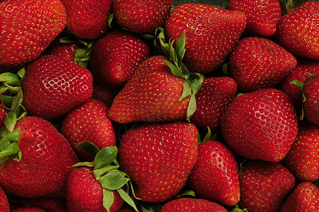 红色草莓堆生产营养农业杂货杂货店浆果收成农作物食物水果图片