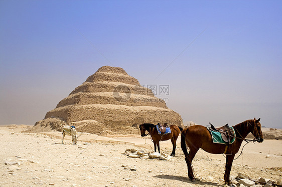 贾塞尔的脚步金字塔监护人纪念碑地标建筑学传说马匹历史雕塑旅行历史性图片