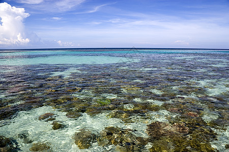 珊瑚海波浪海浪海景风景天气异国蓝色假期天空地平线图片