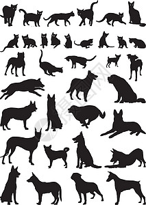猫和狗收藏小猫剪贴绘画哺乳动物黑色插图剪影曲线朋友们图片